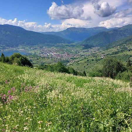 Bed and Breakfast Viewpoint Kofiljaca Plav Exterior foto