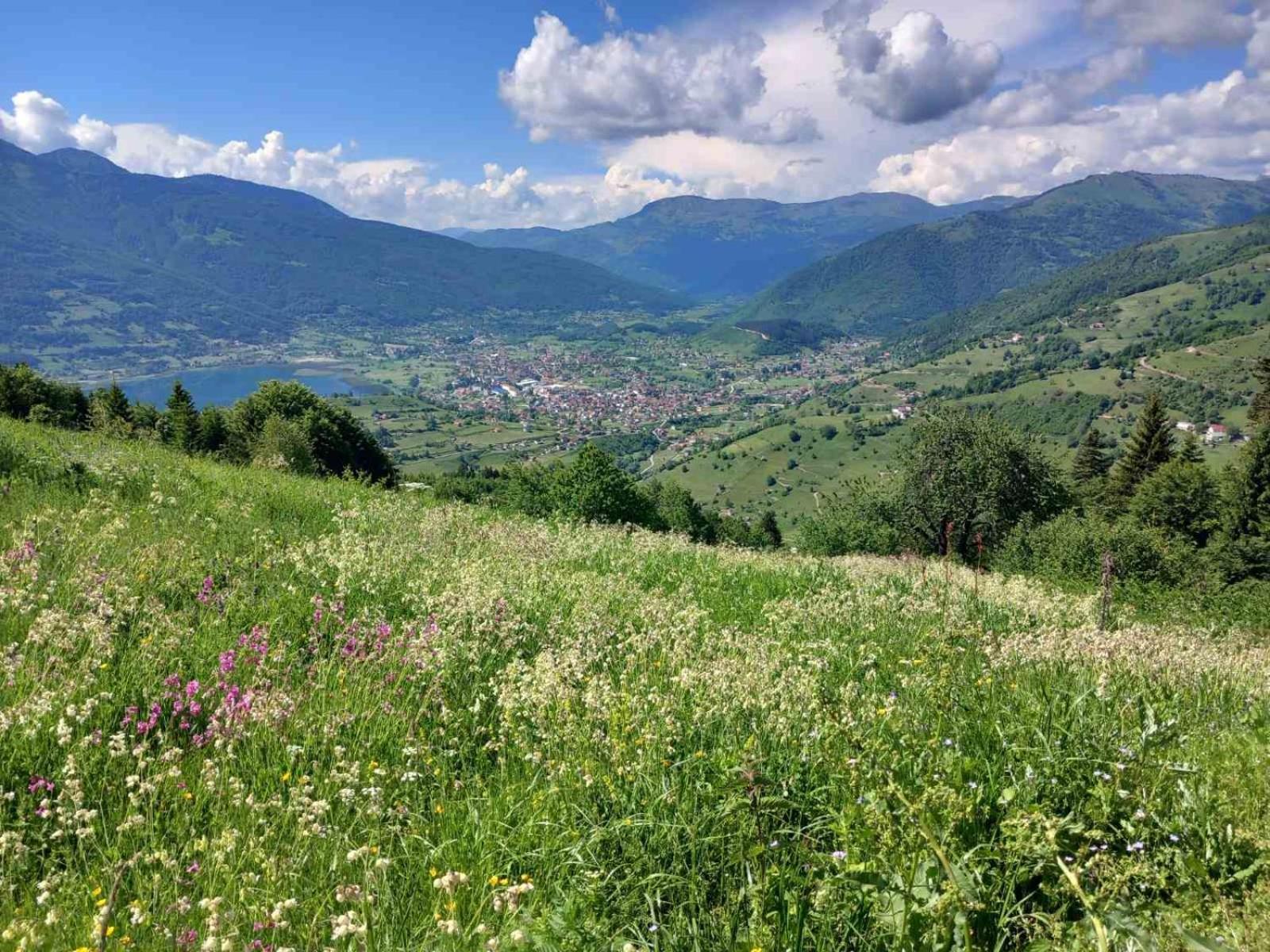 Bed and Breakfast Viewpoint Kofiljaca Plav Exterior foto
